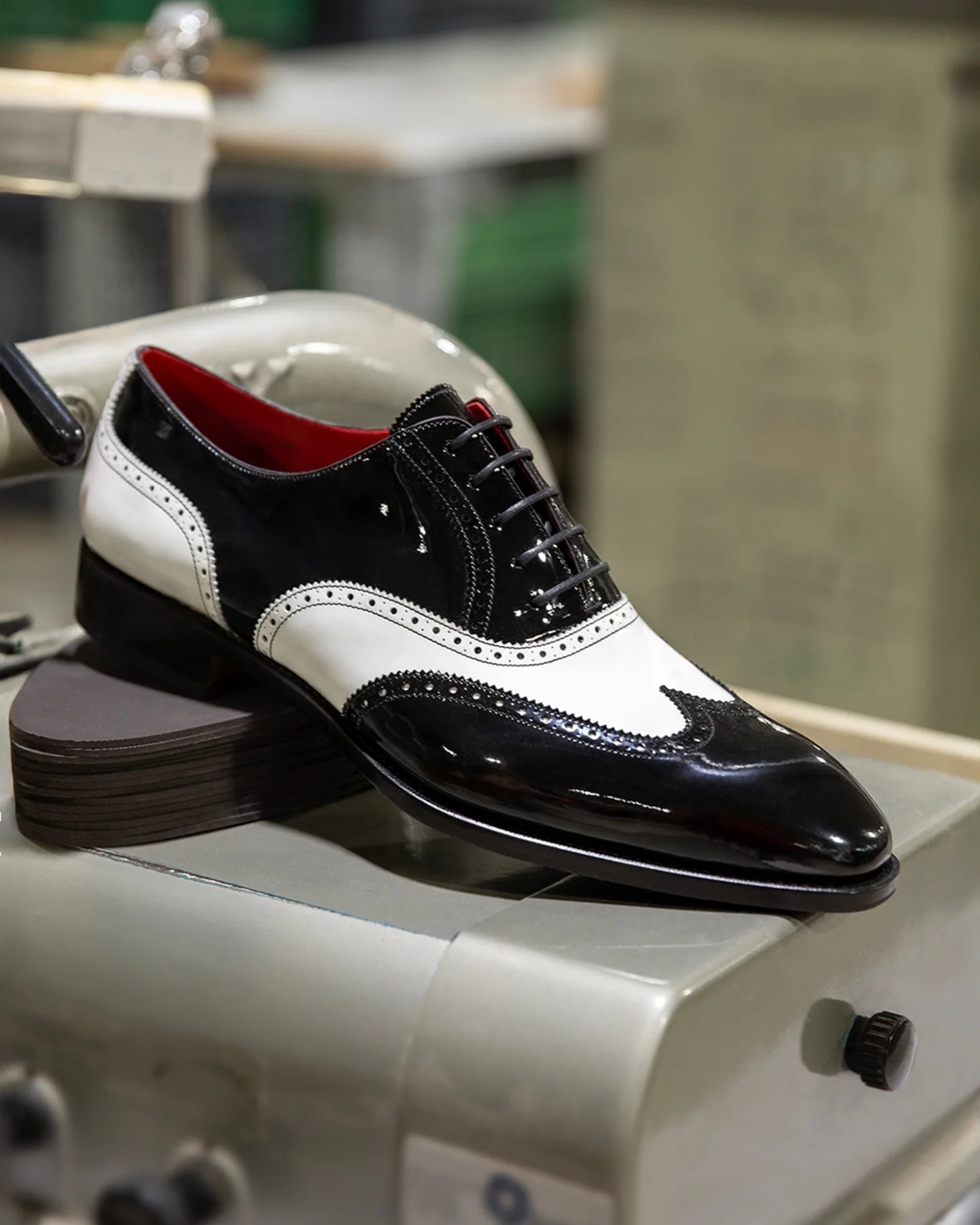 Colorblock Carved Brock Leather Shoes